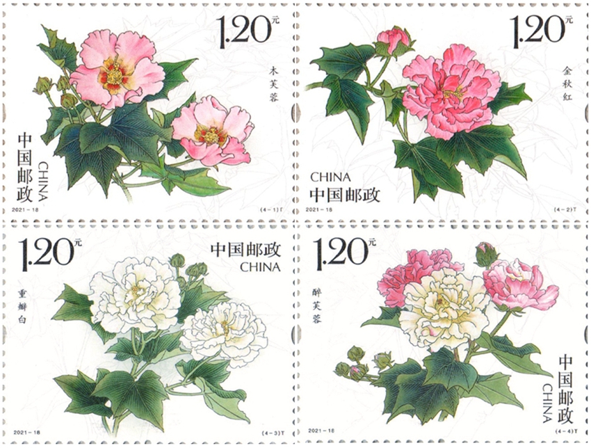 2021-18 《木芙蓉》特种邮票