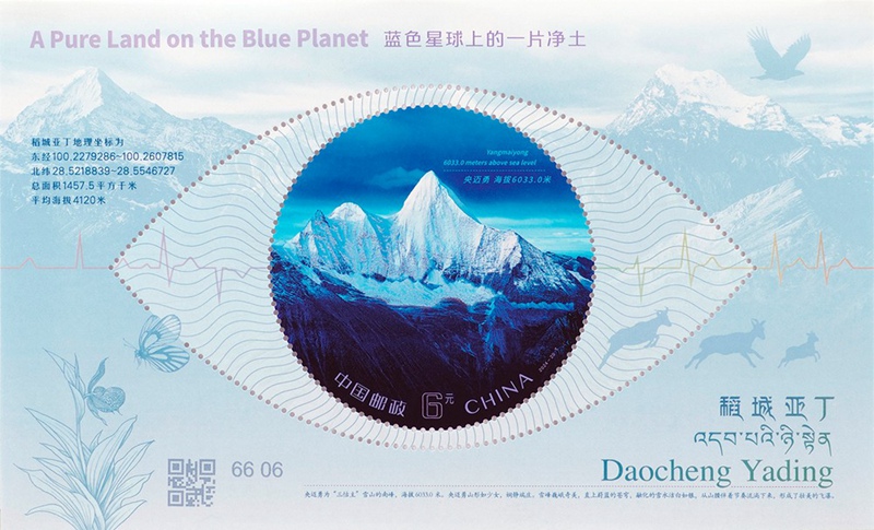 2024�꡶�����Ƕ���������Ʊ