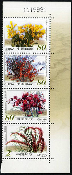 2002-14 《沙漠植物》特种邮票