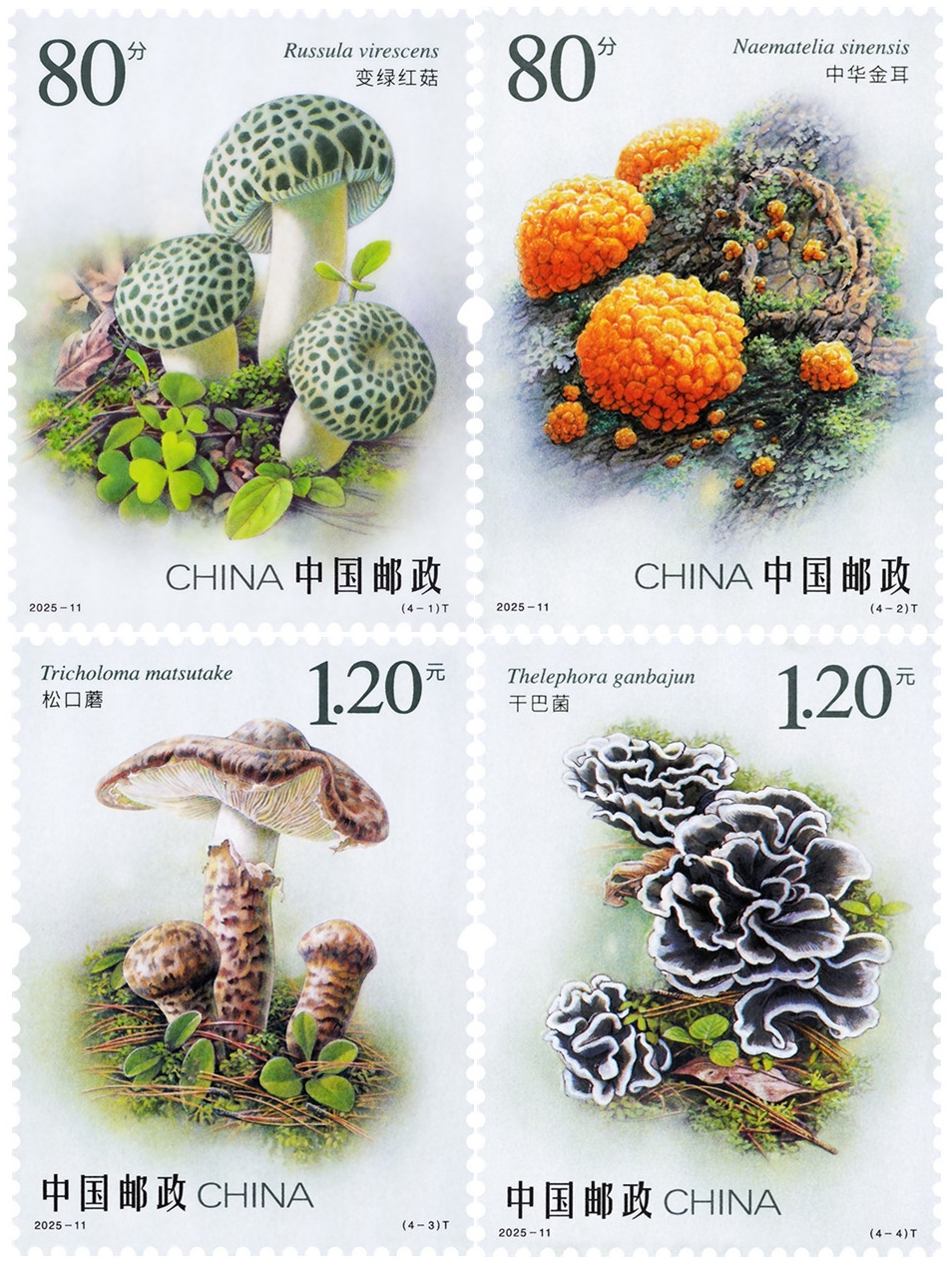 2025年《食用菌（二）》特种邮票