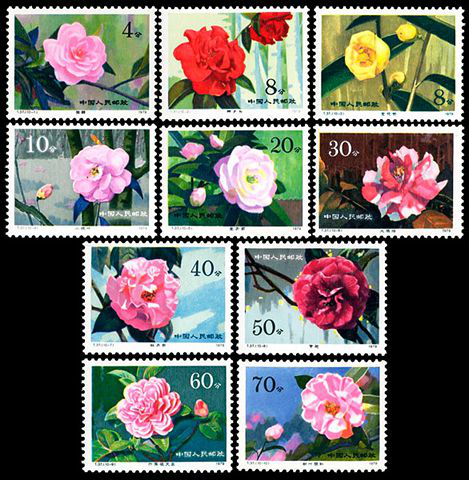 T37 云南山茶花邮票