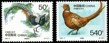 1997-7 《珍禽》特种邮票（与瑞典联合发行）
