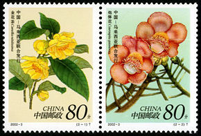 2002-3 《珍稀花卉》特种邮票（与马来西亚联合发行）